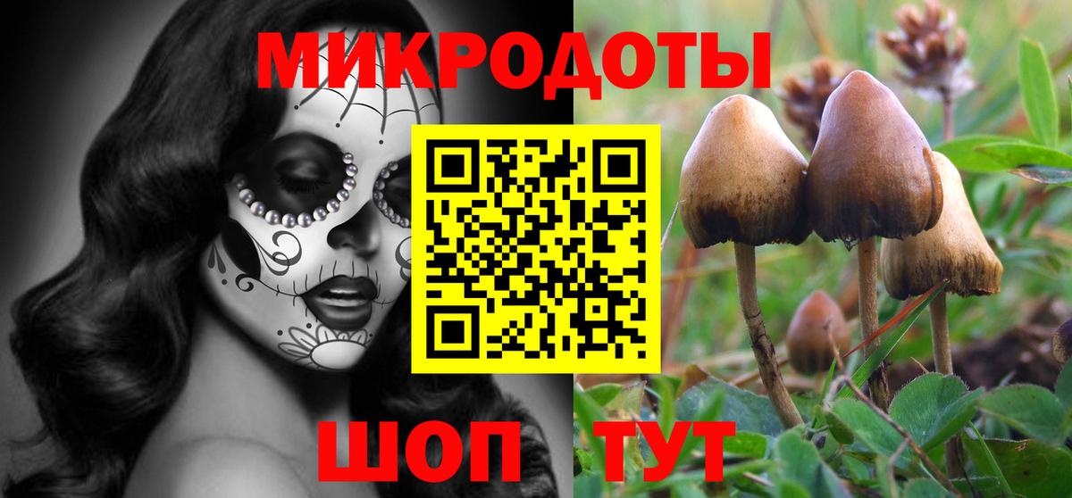 Псилоцибиновые грибы прущие грибы Кизилюрт